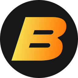 BIGS PARTNERS